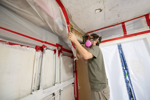 Best Mold Removal for HVAC Installations  in Mount Carmel, OH